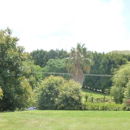 Paradise Grove Whangamata Eksteriør billede