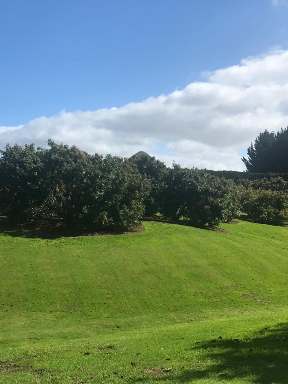 Paradise Grove Whangamata Eksteriør billede