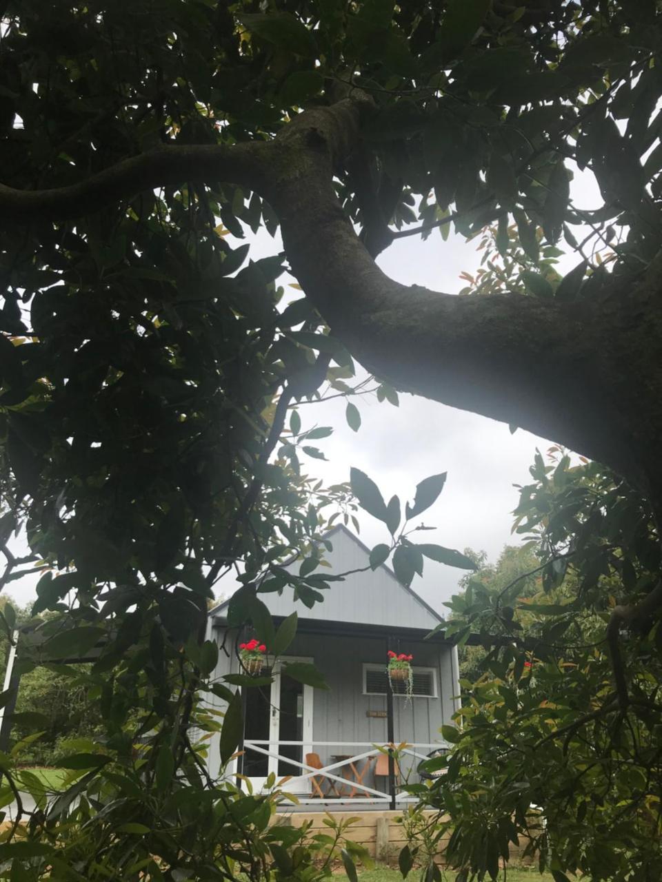 Paradise Grove Whangamata Eksteriør billede