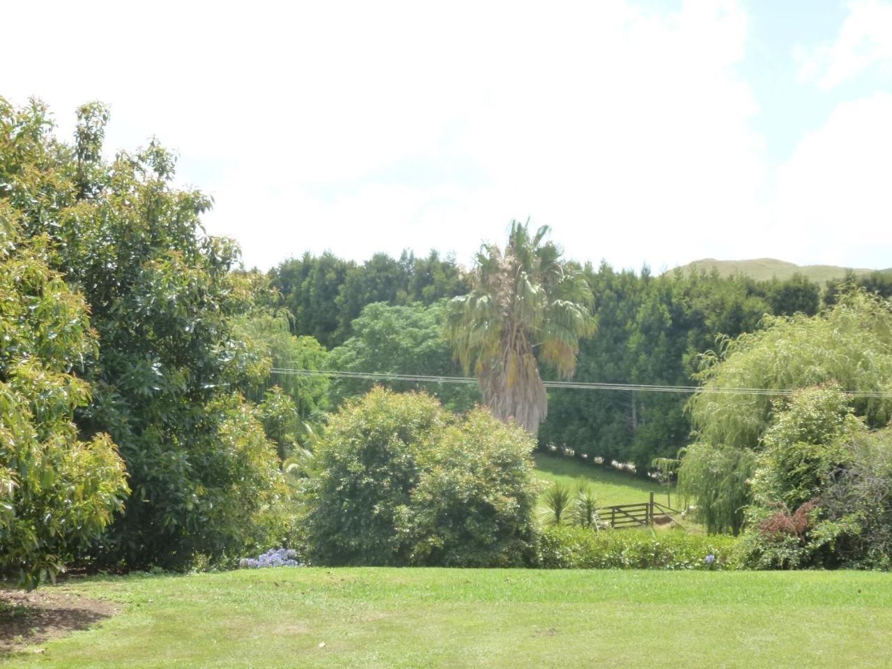 Paradise Grove Whangamata Eksteriør billede