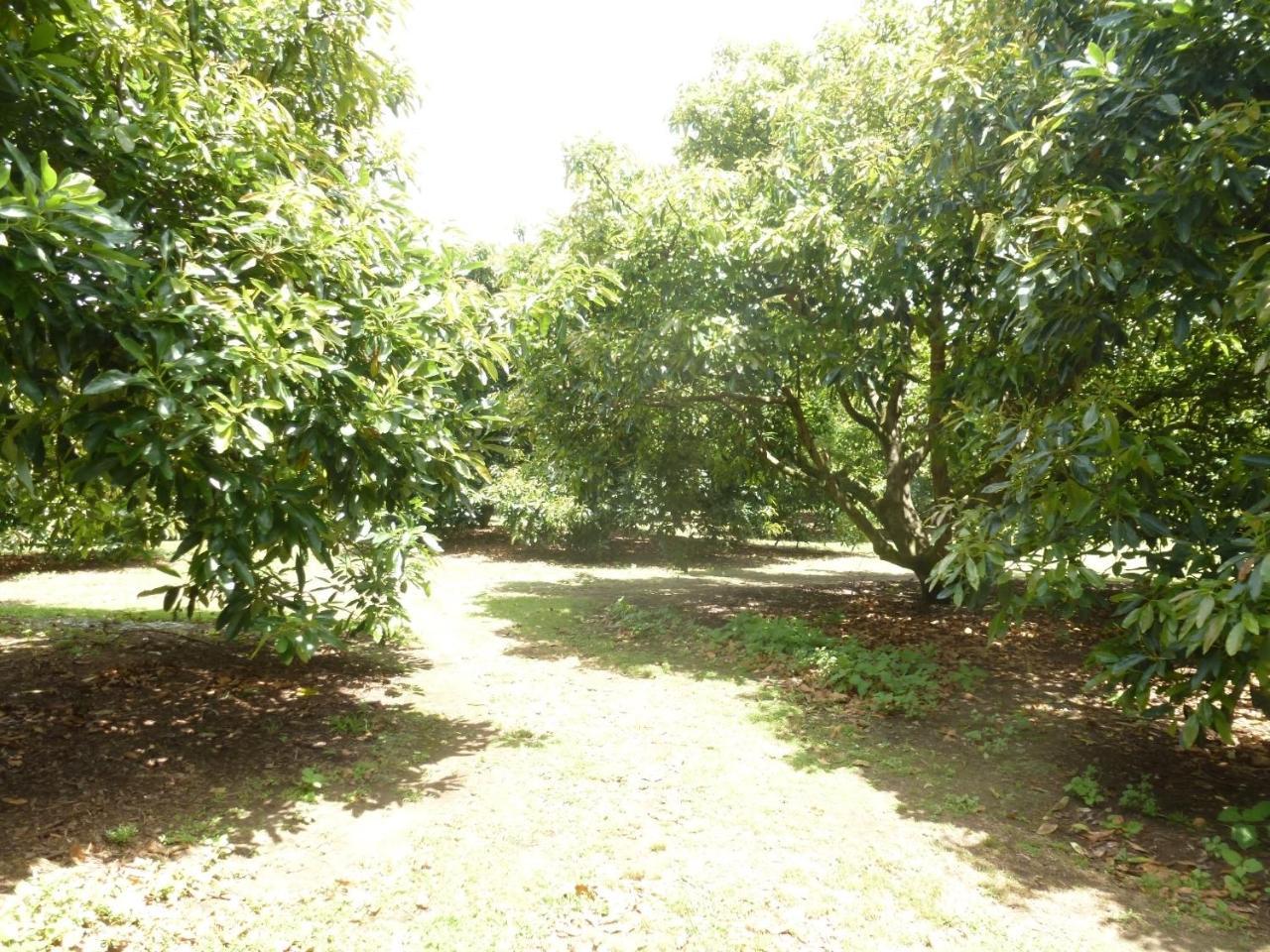 Paradise Grove Whangamata Eksteriør billede